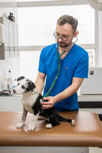 TrustVet
